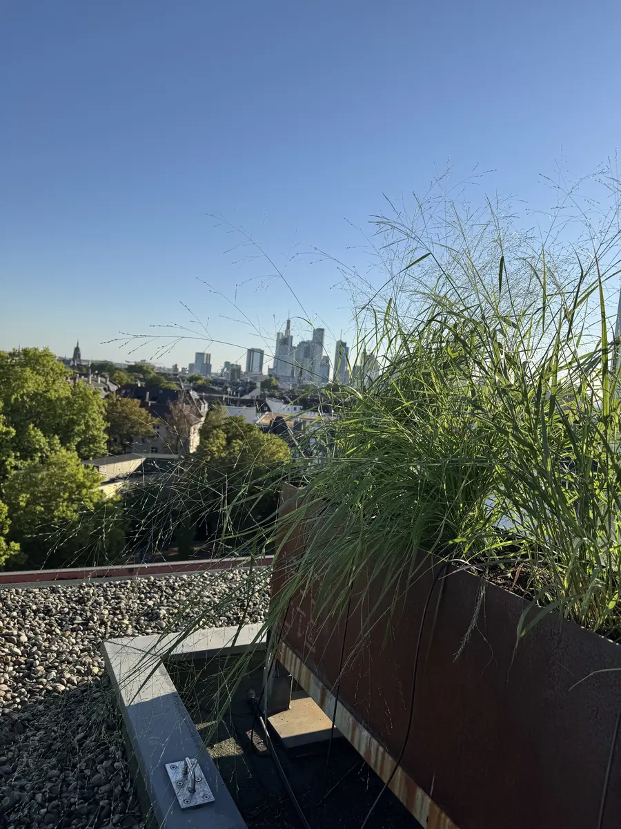 Begrünte Dachterrasse mit Blick auf die Frankfurter Skyline