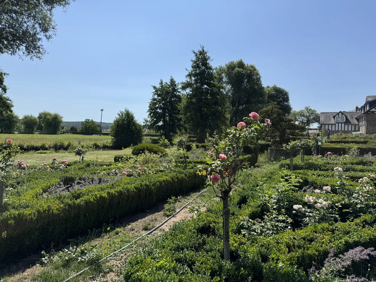 Rosengarten in einer kleinen Parkanlage mit Tropfbewässerung