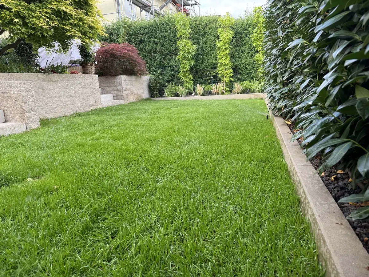 Gepflegter Privatgarten mit Rasenbewässerung in Hattersheim